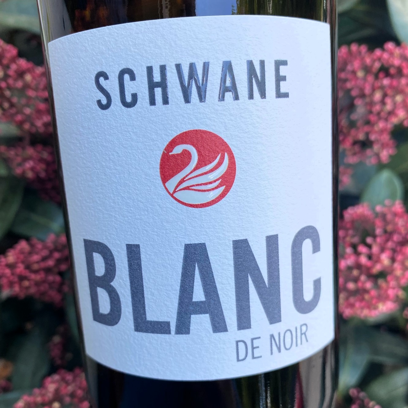 2024 Blanc de Noir trocken, Zur Schwane