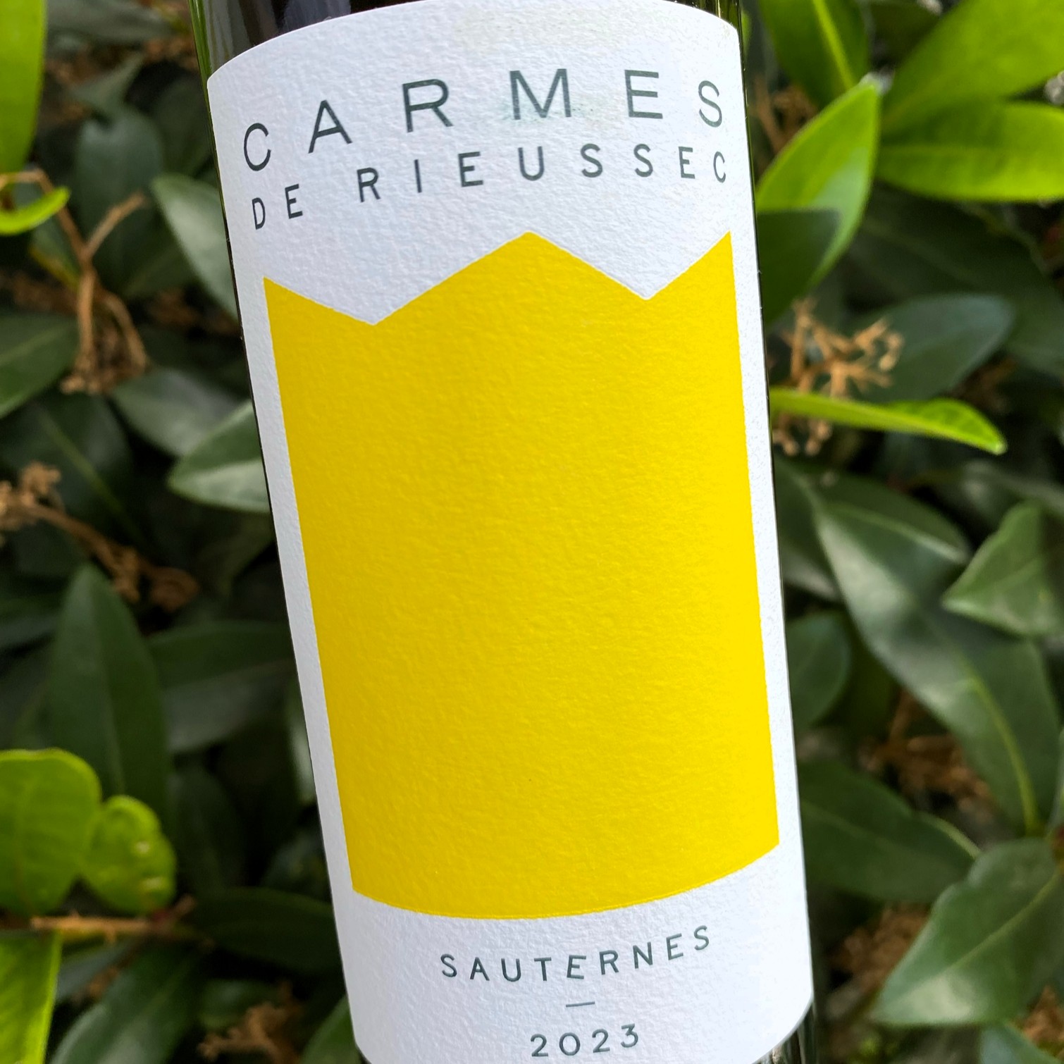 2023 Carmes de Rieussec - halbe Flasche