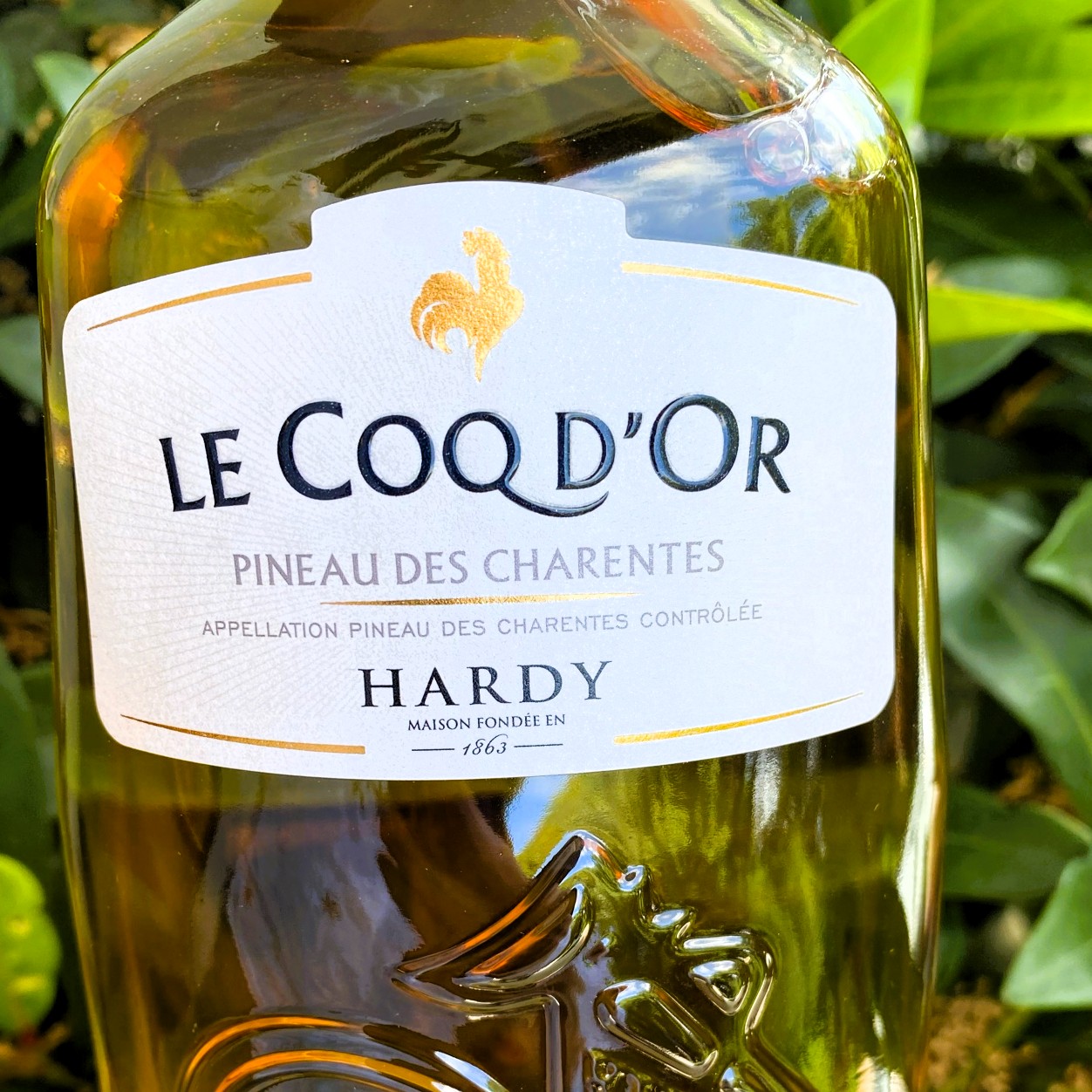 Pineau des Charentes AOC 
