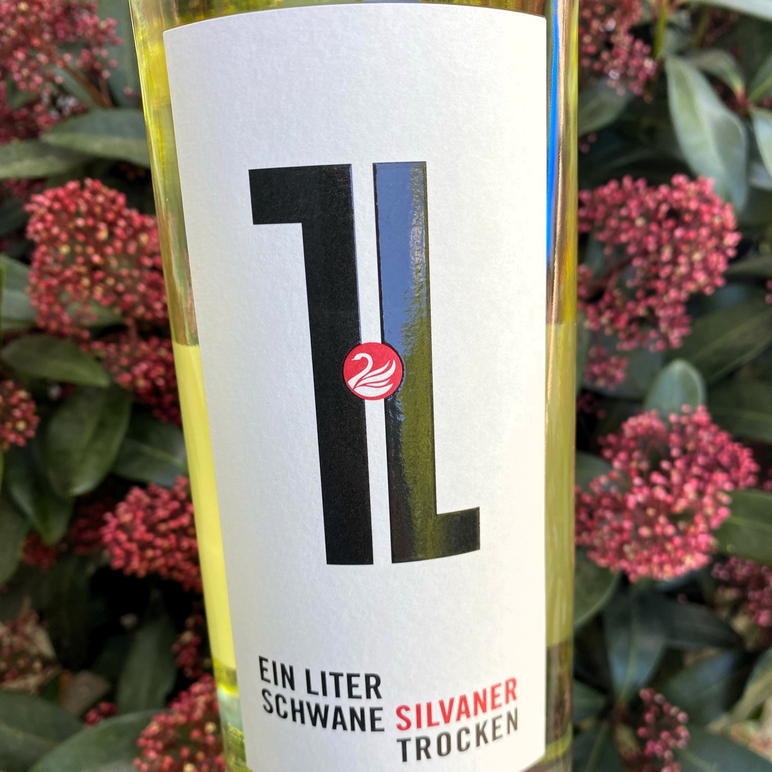 2024 Silvaner trocken, Zur Schwane